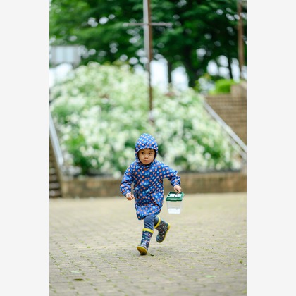 和Photographが撮影した「:albumName」の写真