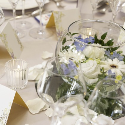 ミヤタカズコが撮影した商品/物撮りの写真