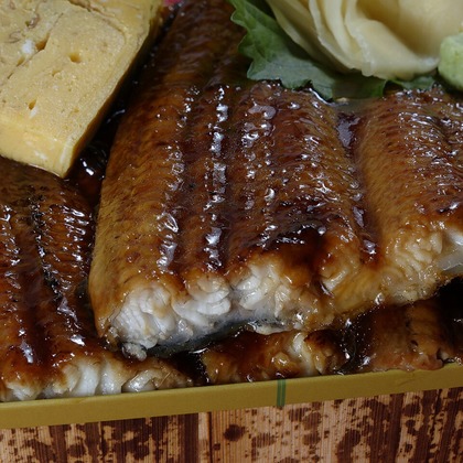 Kutsuzawaが撮影したウェディングや家族、ビジネスの写真