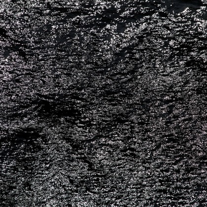 熊谷順写真事務所が撮影したイベント/スナップ撮影の写真