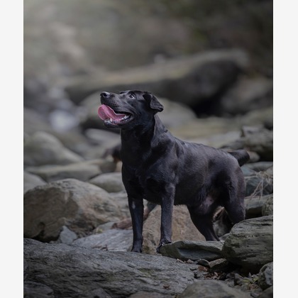 梅田　紫邑が撮影したその他の写真