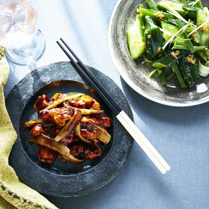 登　万里子が撮影したウェディングや家族、ビジネスの写真