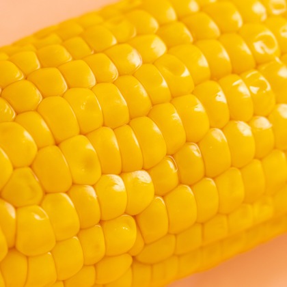 Hiroが撮影した「スタジオ、出張撮影」の写真