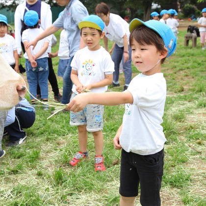 福井麻里が撮影した「:albumName」の写真