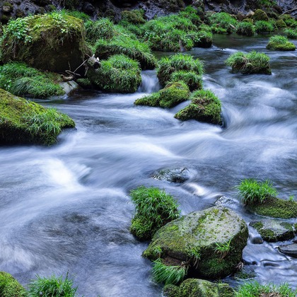 田近　ひとみが撮影した「:albumName」の写真