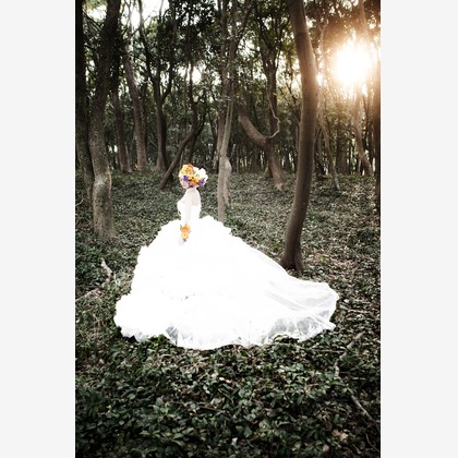 株式会社Def.proが撮影した「:albumName」の写真