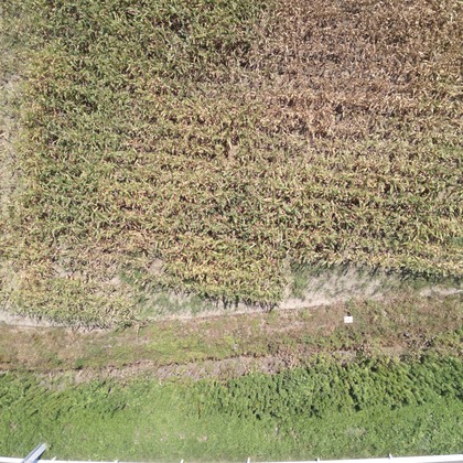 アナハイムエレクトロニクスが撮影したその他の写真