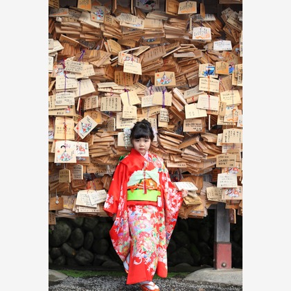 Kan Suzuki  photographyが出張撮影した家族写真, 植物, 七五三が写ったエンゲージメントフォトの写真