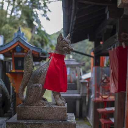 松見　翠が撮影した「:albumName」の写真