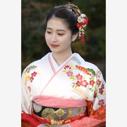 A&Y写真OFFICEが撮影したその他の写真