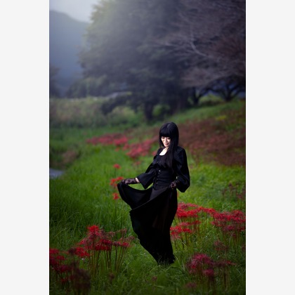 樋上孝典が撮影した「:albumName」の写真