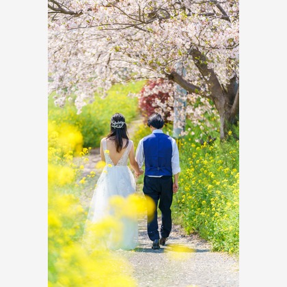 Location Photo Shoot Photos taken by Studio&Gallery Analog　SAEKI PHOTOSTUDIO