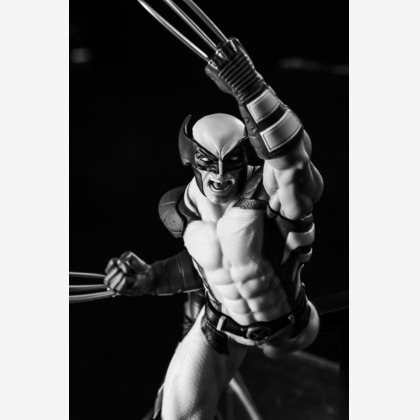 写真屋ごんちゃんが撮影した商品/物撮りの写真