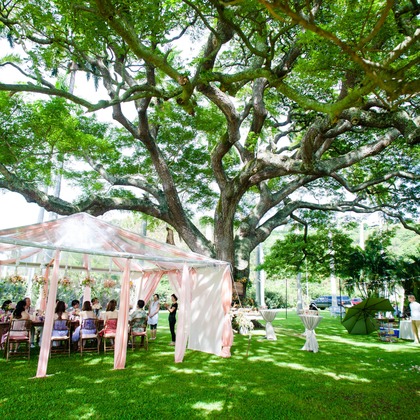 Heritage Bridal Collectionが撮影したウェディングや家族、ビジネスの写真