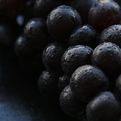 イトウ　ノブミチが撮影した店舗/オフィス/サロン撮影/イベント/スナップ撮影/料理撮影/商品/物撮り/不動産/竣工の写真