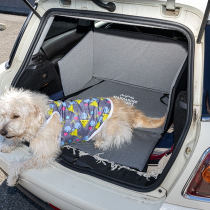 吉田佳央が撮影した「DOG SHOOTING」の写真