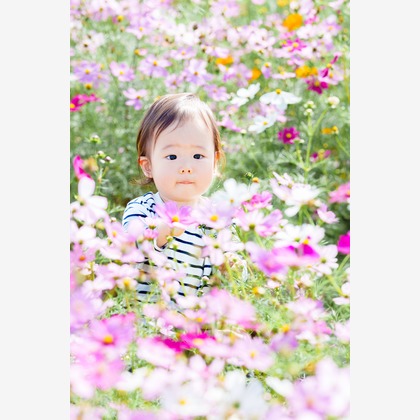 lino-'akaが撮影した「:albumName」の写真