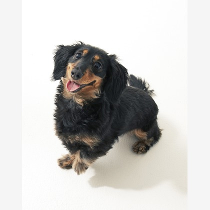 株式会社　レッドポイントが撮影した人物撮影の写真