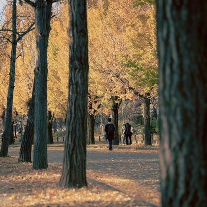 Etographが撮影したイベント/スナップ撮影の写真