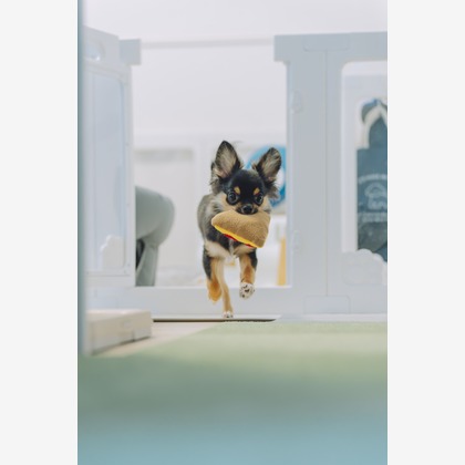 Keiphotoが撮影した「:albumName」の写真