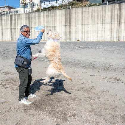 吉田佳央が撮影した「DOG SHOOTING」の写真