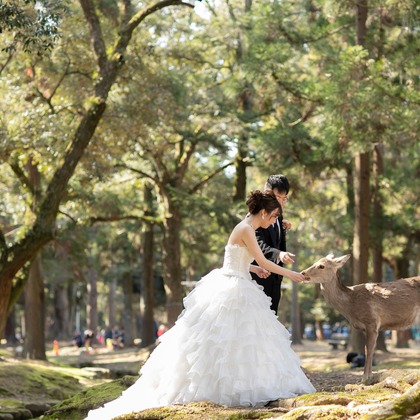 Photo of Pre-shooting location shooting taken by 今西健二