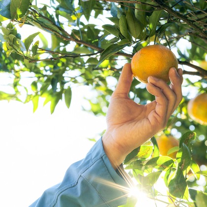 大橋裕紀が撮影したイベント/スナップ撮影/商品/物撮り/人物撮影の写真