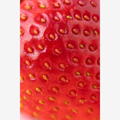 Hiroが撮影した「スタジオ、出張撮影」の写真