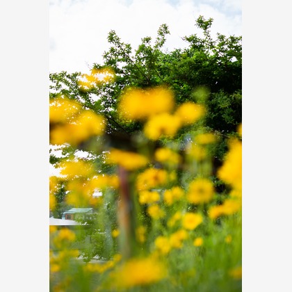 内山慎也が撮影した商品/物撮りの写真