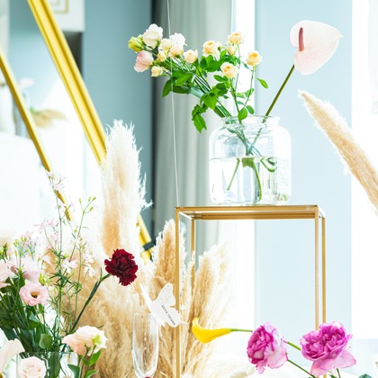 スタジオファンタスが撮影した「:albumName」の写真