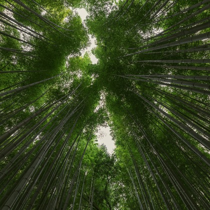 田近　ひとみが撮影した「:albumName」の写真