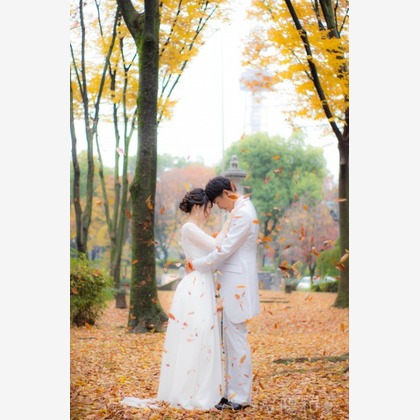 パシャ陽和が撮影した「:albumName」の写真