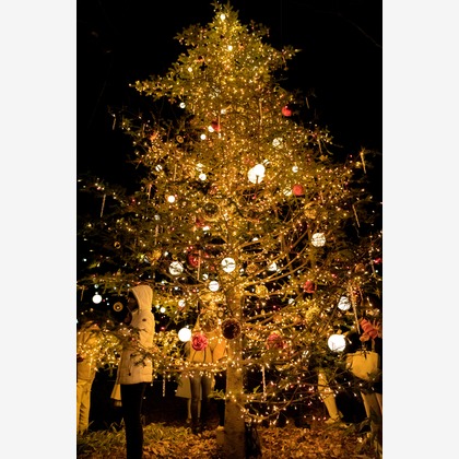 光画堂スタジオが撮影したウェディングや家族、ビジネスの写真