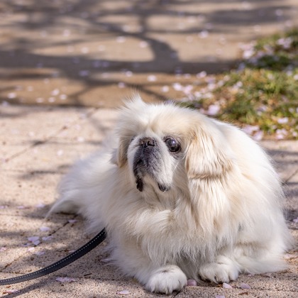 沖山俊樹が撮影した「:albumName」の写真