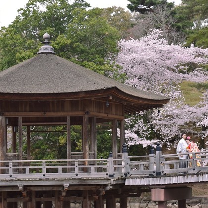 キキフォトワークスが撮影したウェディングや家族、ビジネスの写真