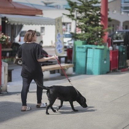 芳賀 翔大が撮影した「コロナ禍の商店街」の写真