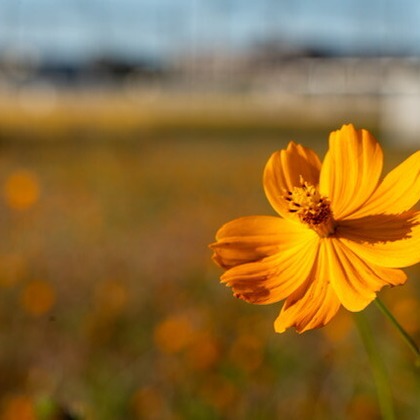 堀田佳資が撮影したその他の写真