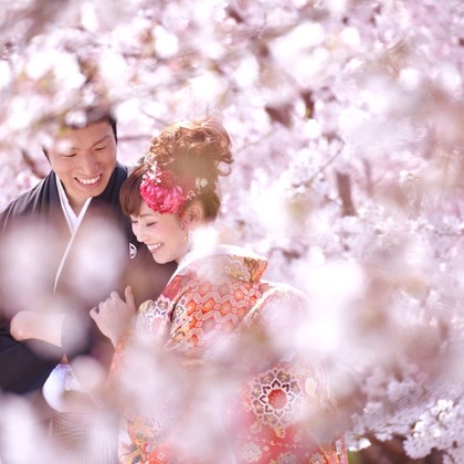Photo of Pre Weddingphotoshoot in Nara park in the cherry blossom season taken by Kiki photo works