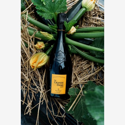 株式会社DAVINCI-Developmentが撮影した商品/物撮りの写真