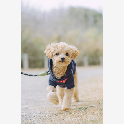 Keiphotoが撮影した「:albumName」の写真