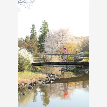 Photographer  Tomoが撮影したウェディングや家族、ビジネスの写真