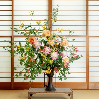 山﨑　貴仁　(zakkii)が撮影した商品/物撮りの写真