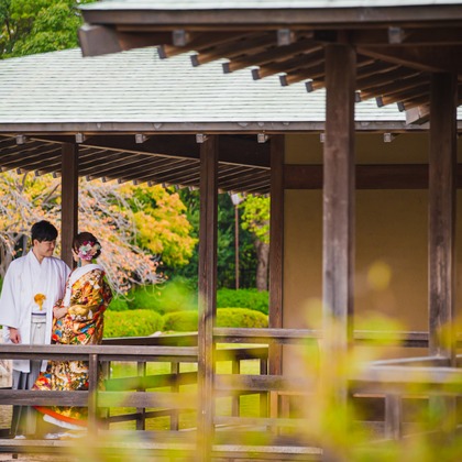 ゾクが撮影した「:albumName」の写真