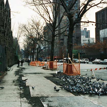 森田寫眞館が撮影した「:albumName」の写真