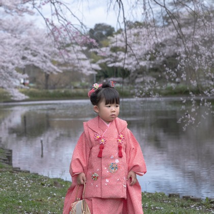 ミヤタカズコが撮影した「:albumName」の写真