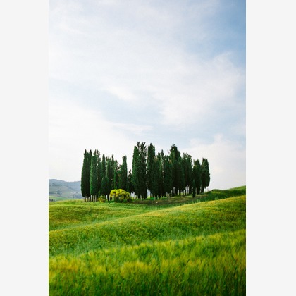 Lénaïc (レナイク) Maréchalが撮影したウェディングや家族、ビジネスの写真