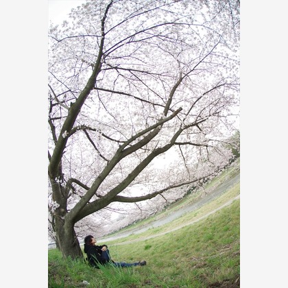 ハギワラトモヒトが撮影した「:albumName」の写真