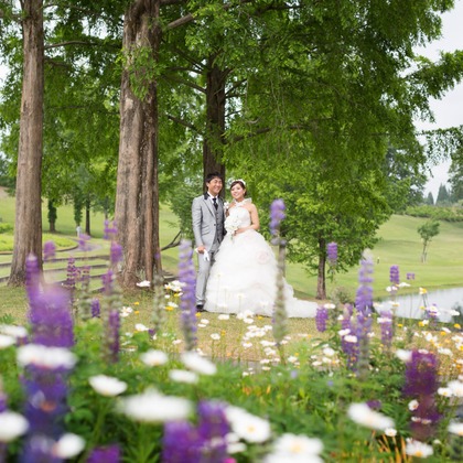 studio HATOYAが撮影した「:albumName」の写真