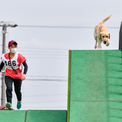 スタジオファンタスが撮影した「:albumName」の写真