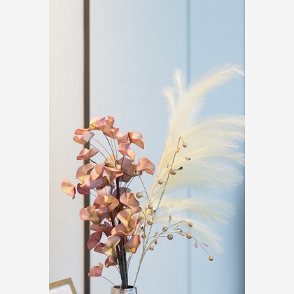 Yuki Shimada Photographyが撮影した「:albumName」の写真